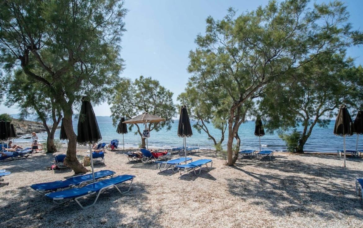 Villa Sofia Στελίδα Εξωτερικό φωτογραφία
