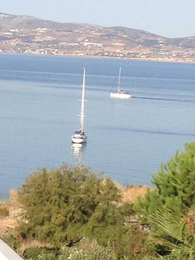 Villa Sofia Στελίδα Εξωτερικό φωτογραφία